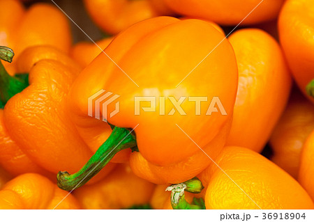 colorful bell peppers, natural background colorful bell peppers, natural background 36918904