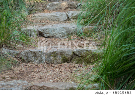 Stone steps in the middle of the park Stone steps in the middle of the park 36919362