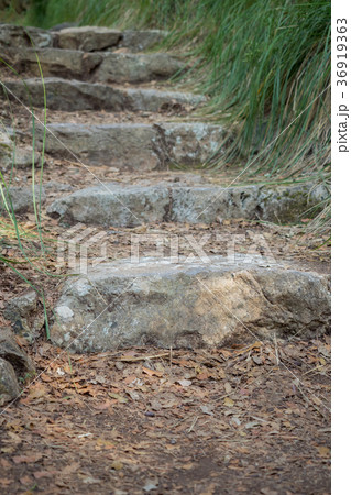 Stone steps in the middle of the park 36919363