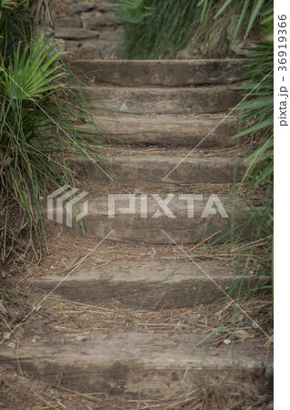 Wooden steps in the middle of the park 36919366