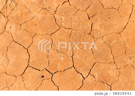 Top view on mud cracked dry ground abstract backgr Top view on mud cracked dry ground abstract backgr 36919541