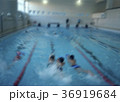 children in swimming lessons  bokeh effect 36919684
