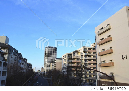 西国分寺駅・府中街道沿いの街並み 36919700