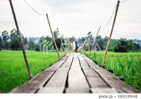 Old wooden bridge. Old wooden bridge. 36919948