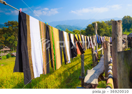 Colorful Thai sarongs fluttering in the wind Colorful Thai sarongs fluttering in the wind 36920010