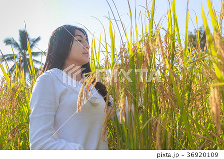 Asian woman in the green rice fields meadow 36920109