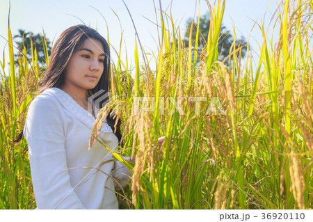 Asian woman in the green rice fields meadow 36920110