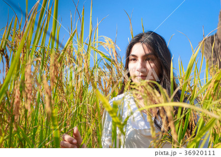 Asian woman in the green rice fields meadow 36920111