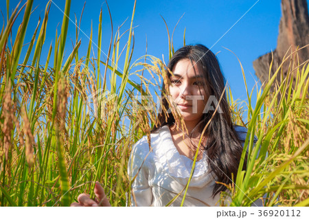 Asian woman in the green rice fields meadow 36920112