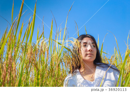 Asian woman in the green rice fields meadow Asian woman in the green rice fields meadow 36920113