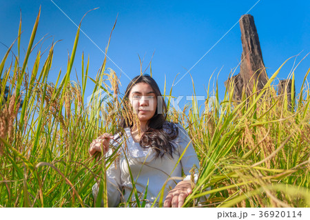 Asian woman in the green rice fields meadow 36920114