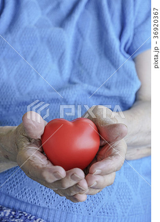 wrinkled hands holding a red heart 36920367