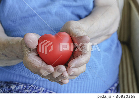 wrinkled hands holding a red heart 36920368