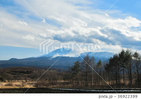 初冬の浅間山 36922399