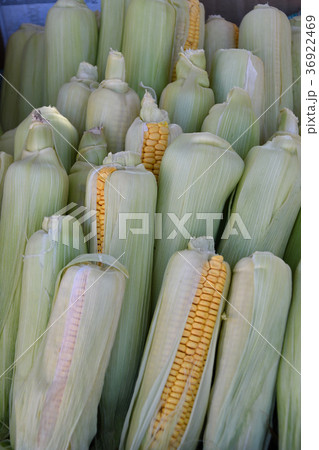 Ripe corn is sold at the Bazaar Ripe corn is sold at the Bazaar 36922469