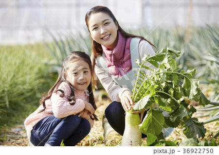 家族 ファミリー 畑 36922750