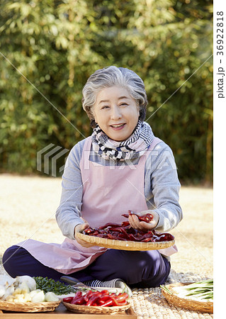 キムチ 高齢者 老人 36922818