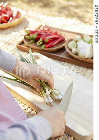 手 包丁 トリミング 36922820