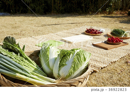 唐辛子 生 なまもの 36922823