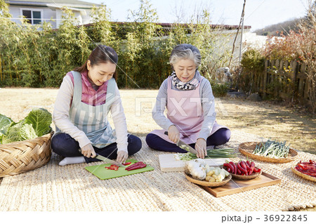 感情 建築 高齢者 36922845