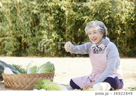 感情 高齢者 老人 36922849