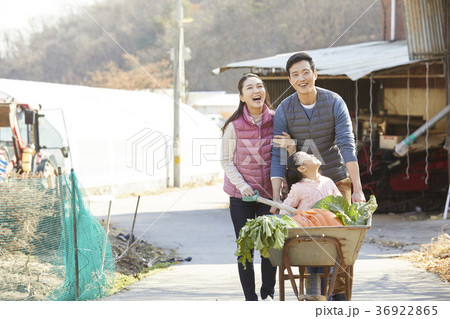 家族 ファミリー 農作物 36922865