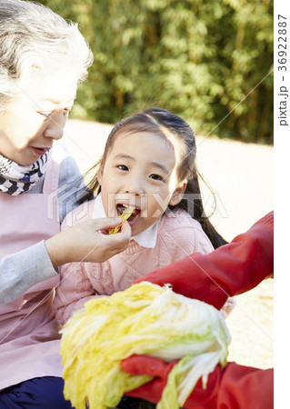 家族 ファミリー 食べる 36922887