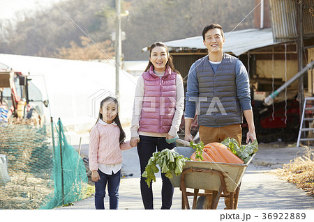 家族 ファミリー 農作物 36922889
