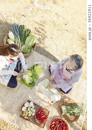 高齢者 老人 娘 36922911