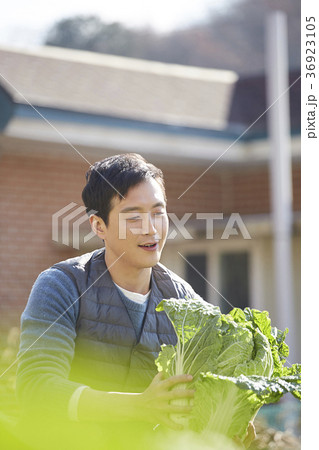 男 男性 男の子 36923105