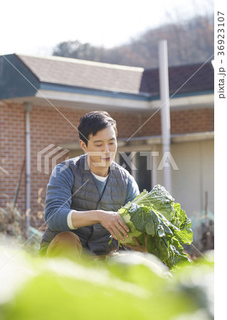 男 男性 男の子 36923107