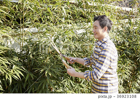 剪定 男 男性 36923108