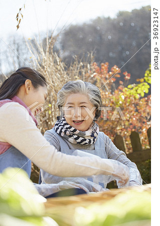 家族 ファミリー 高齢者 36923147