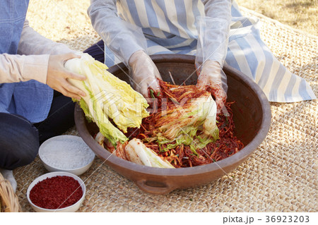 白菜キムチ ビニール手袋 料理の 36923203