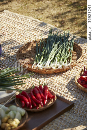 唐辛子 材料 食材 36923245