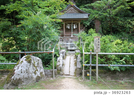 粟鹿神社の摂末社　厳島神社 36923263