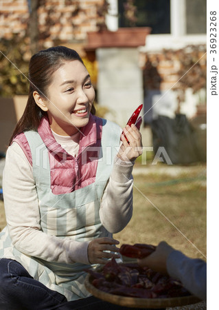 唐辛子 笑顔 微笑 36923268