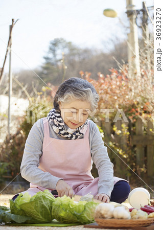 高齢者 老人 白菜キムチ 36923270