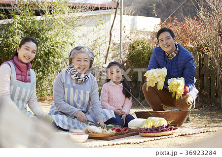 家族 ファミリー 高齢者 36923284