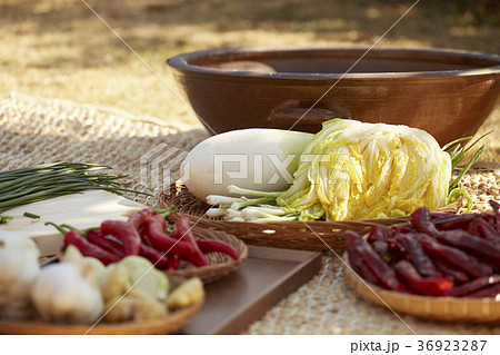 唐辛子 キムチ 白菜キムチ 36923287