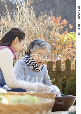 高齢者 老人 屋外 36923301
