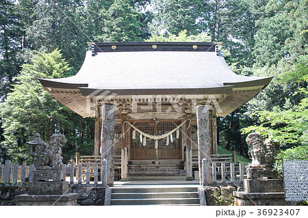 粟鹿神社　狛犬と拝殿 36923407