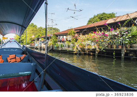 ボートでのんびり水辺の生活見学巡り 36923836