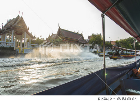 ボートでのんびり水辺の生活見学巡り 36923837
