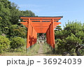 宗佐厄除八幡神社の稲荷社　連なる朱鳥居 36924039