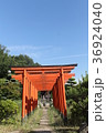 宗佐厄除八幡神社の稲荷社　連なる朱鳥居 36924040