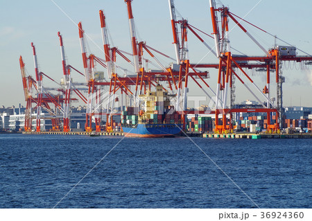 横浜港のタグボートとコンテナ埠頭 36924360