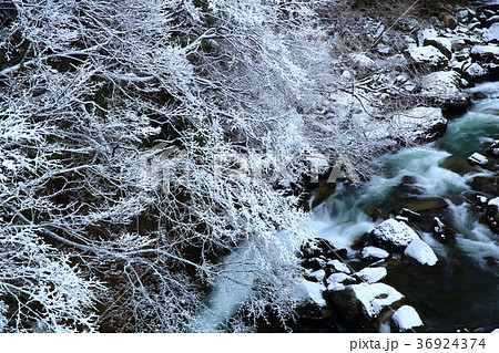 冬の奈曽の白滝 36924374