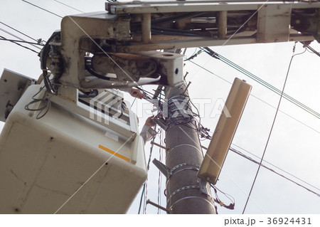 snapshot snapshot 36924431