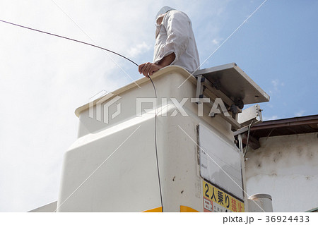 snapshot snapshot 36924433